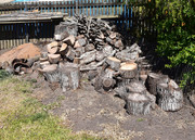 Firewood to give away